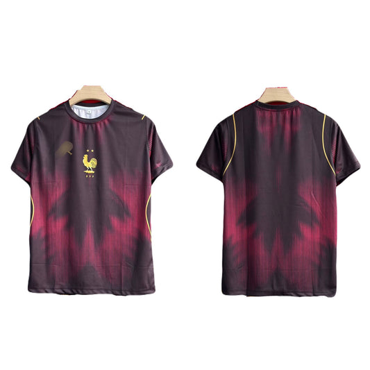 France special  edition plain back half sleeve jersey - P1800