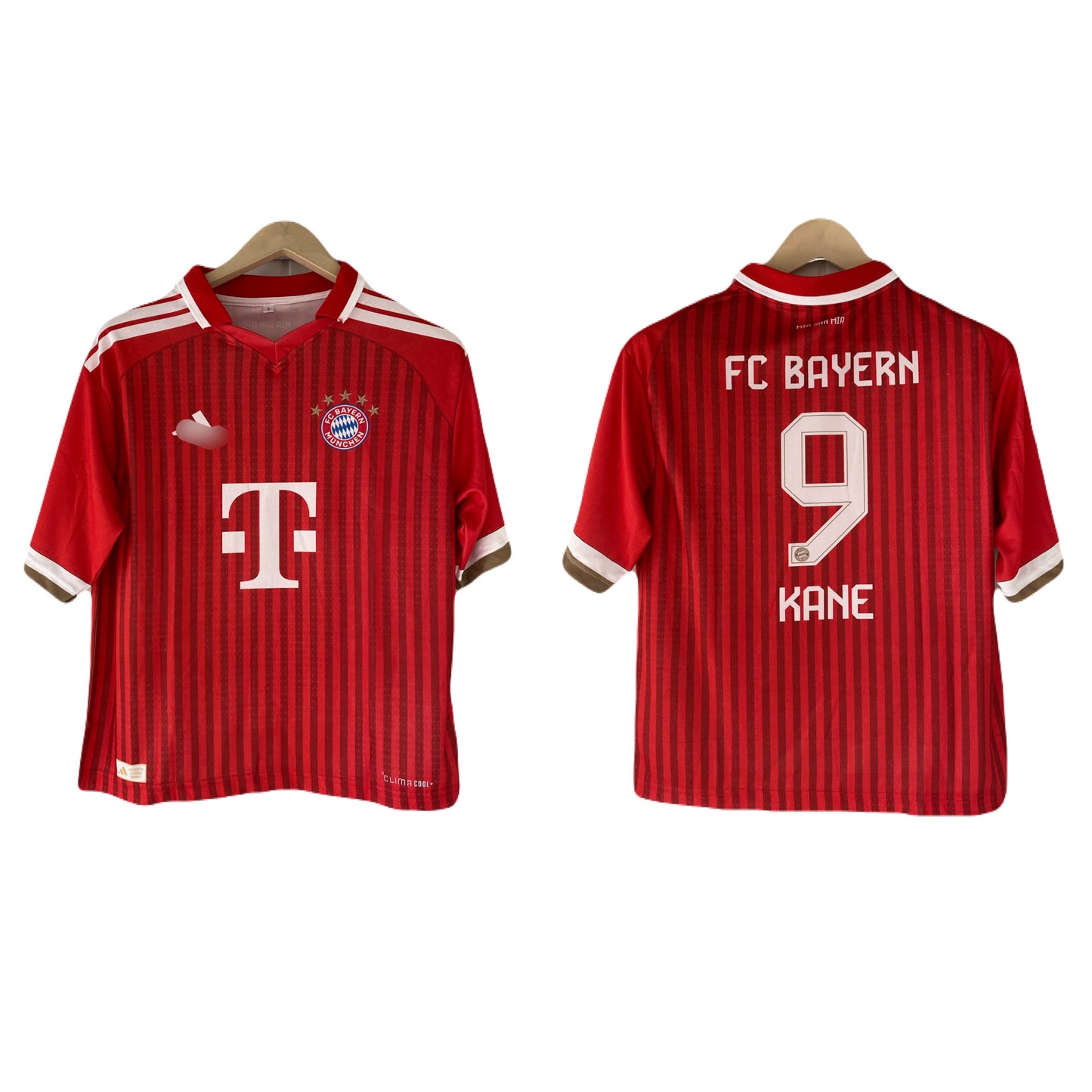 Harry kane Bayern Five sleeve Collar Sublimation jersey- P2236