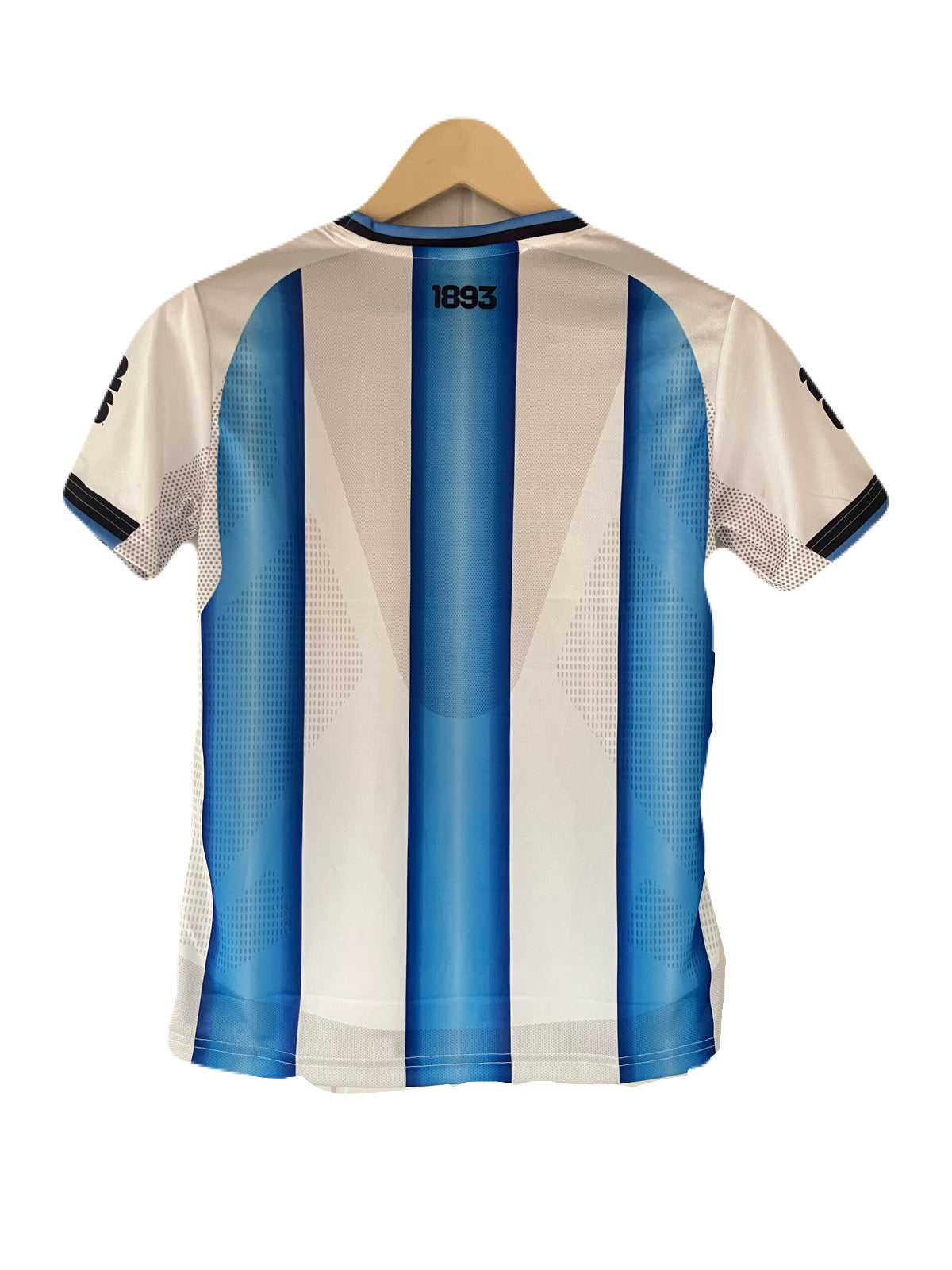 Argentina 2026 World Cup Home Kit plain back Half Sleeve embroidery -