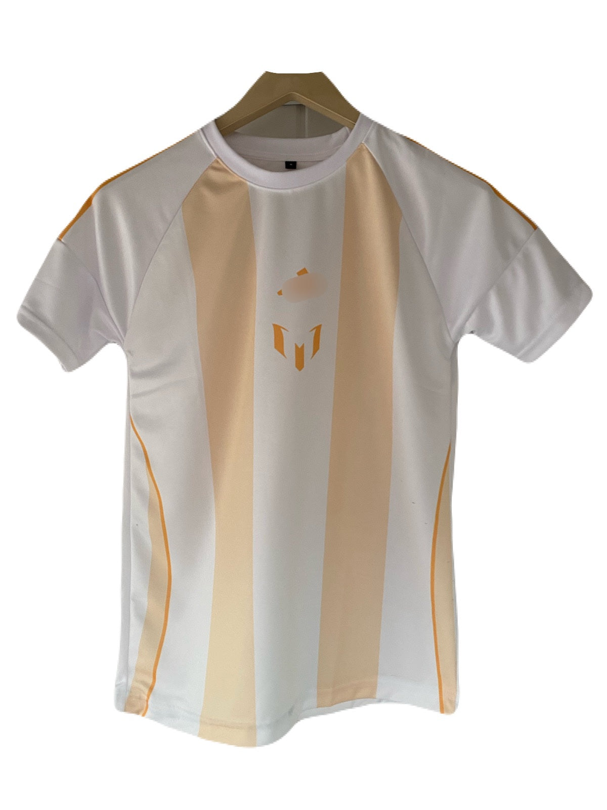 Messi Argentina Special Edition Half Sleeve sublimation Jersey - P2065