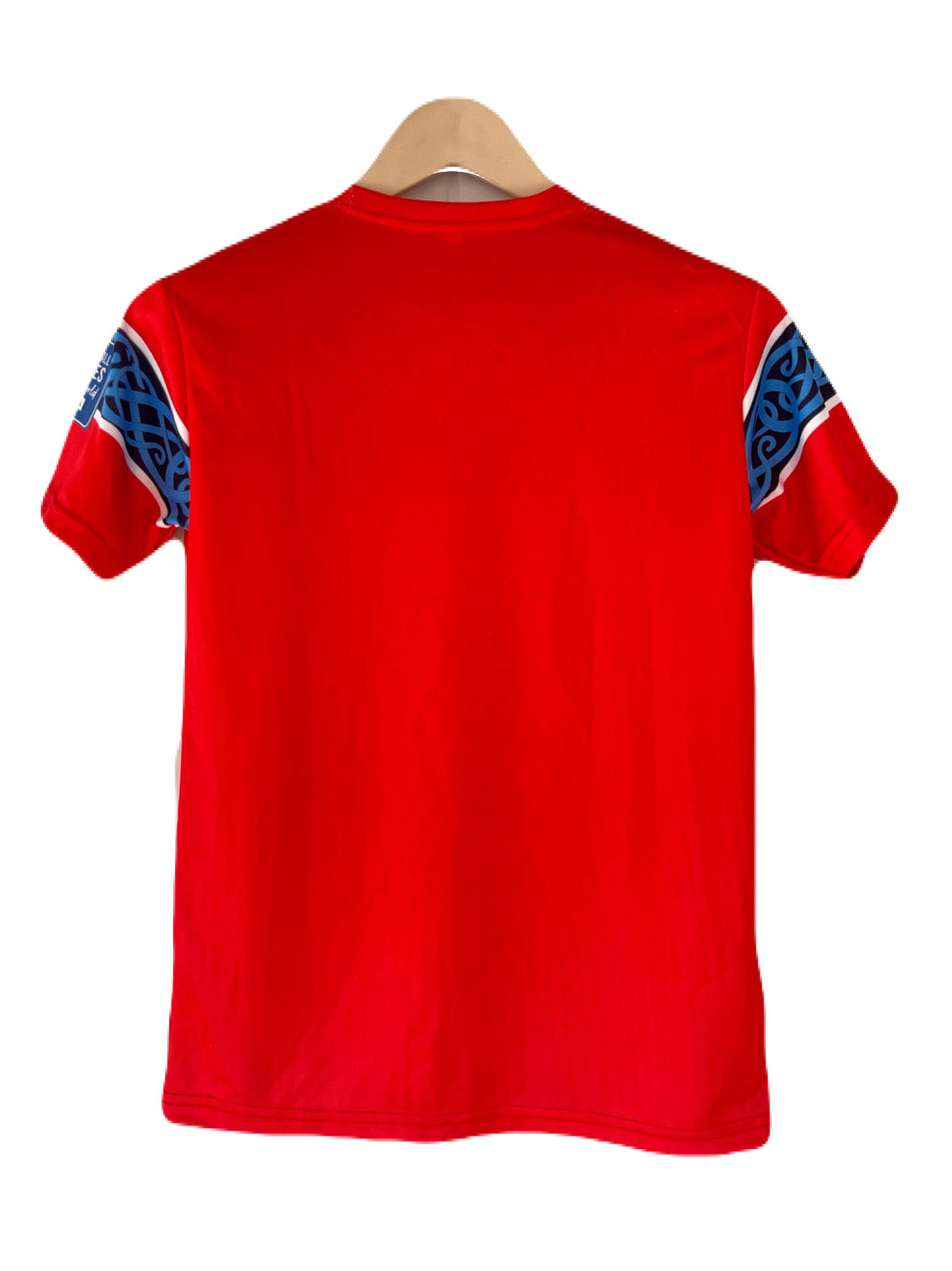 Norway 2026 world cup home half sleeve embroidery Jersey - P2276